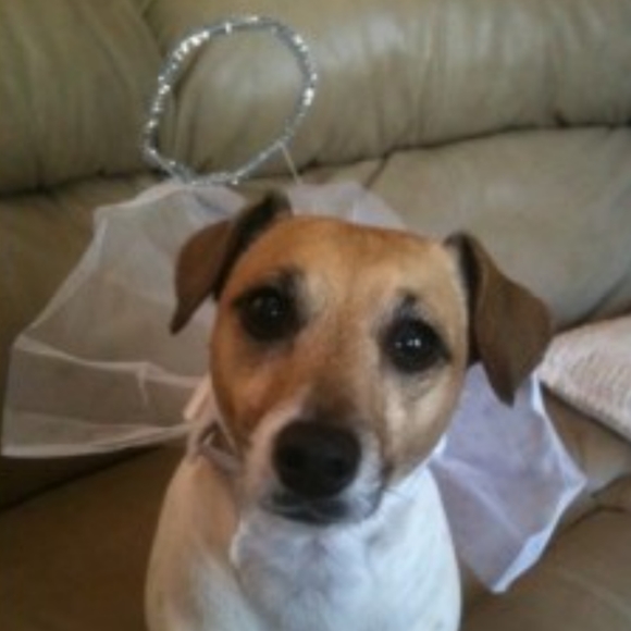 Meet your Posher, Danielle - Picture 13 of 16